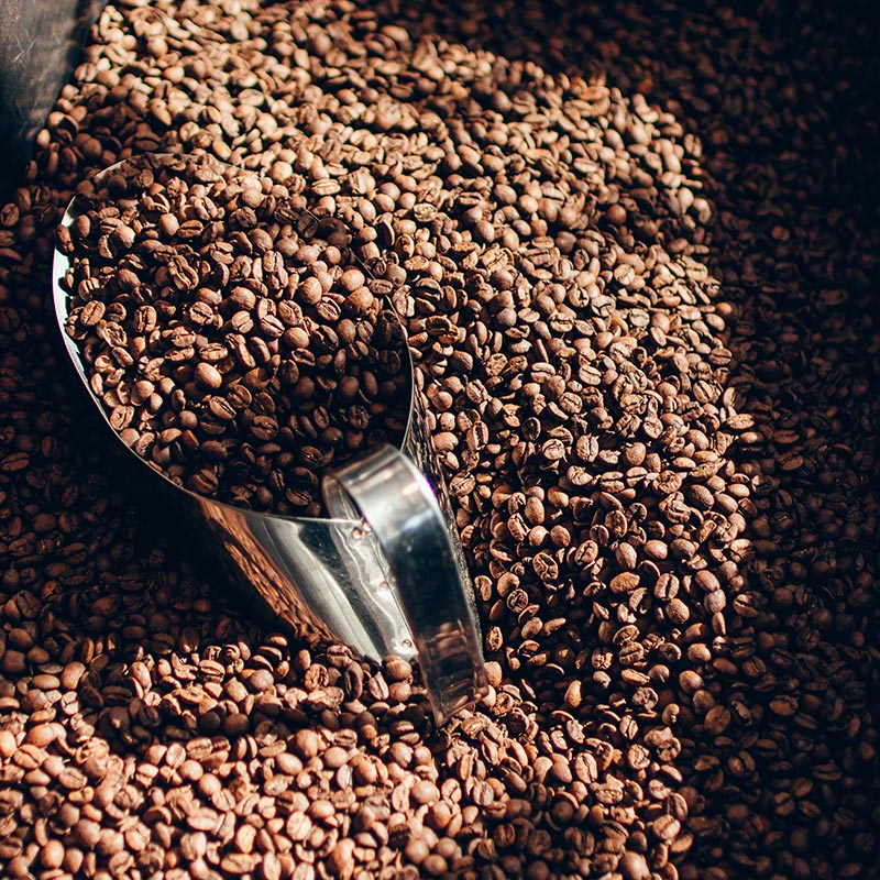 Grãos de café ao sol