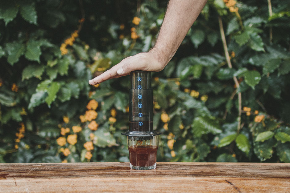 pessoa apertando êmbolo da aeropress para preparar café