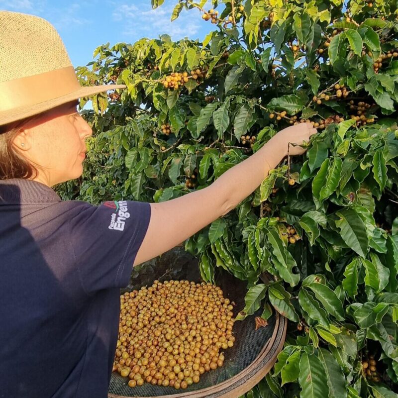 Café Caldo de Cana com Limão 250g