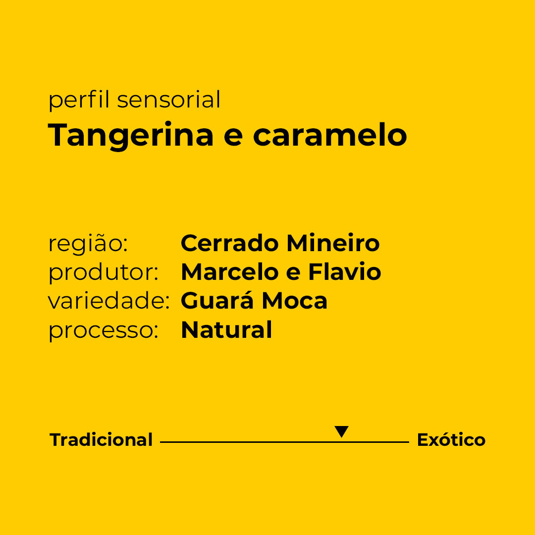 Perfil sensorial bioma moca, Tangerina e caramelo, processo natural