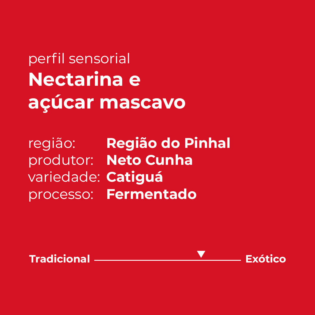 Perfil sensorial Fazenda Boa Vista de Pinhal, Nectarina e açúcar mascavo