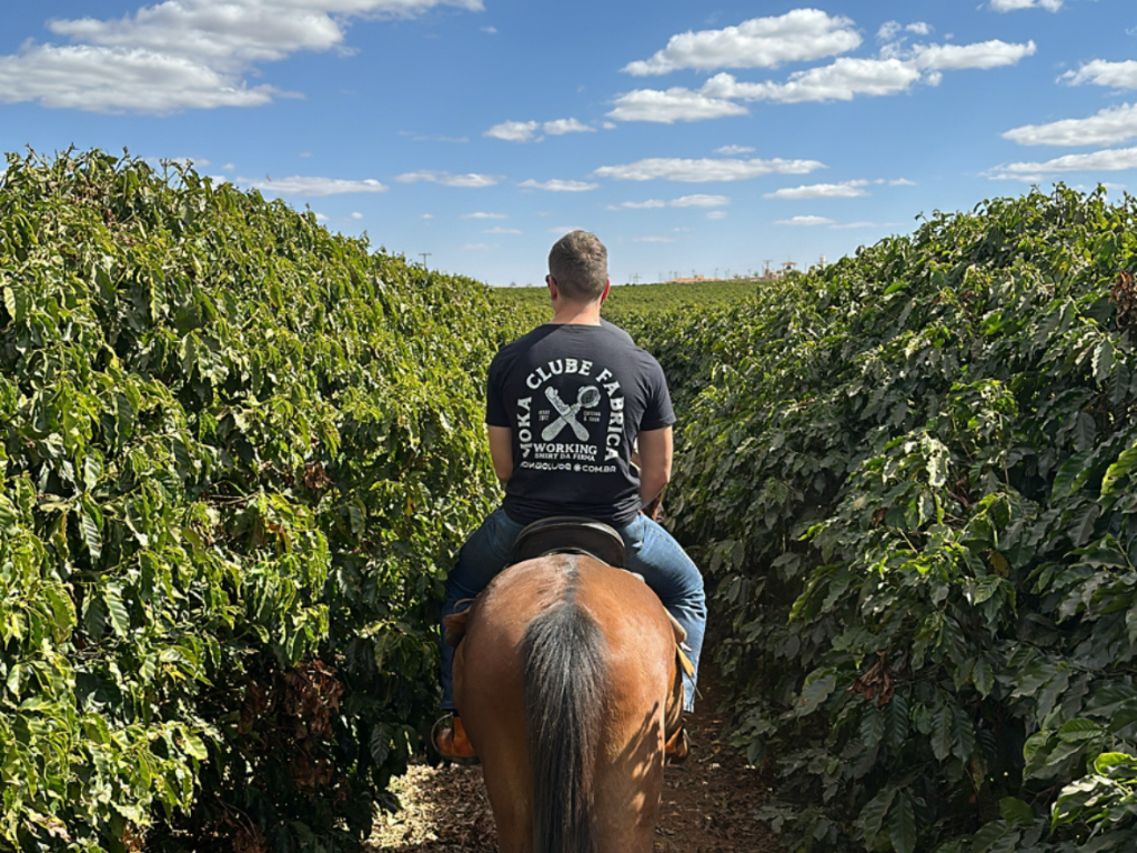 Homem em cima de cavalo no meio de plantação e café